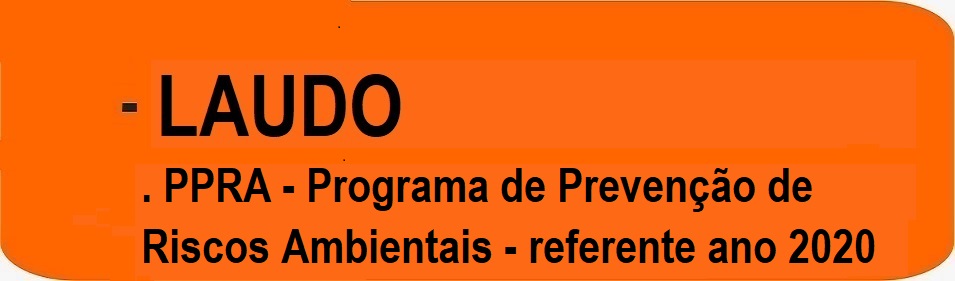 LAUDO - PPRA 2020.jpg