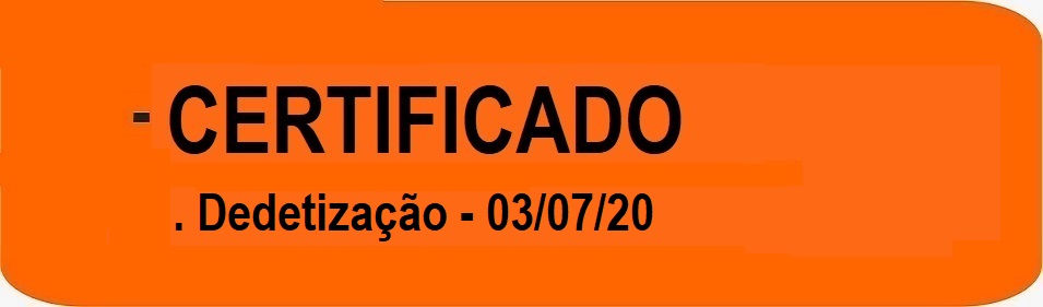 Certificado - ddt 03-07-20.jpg